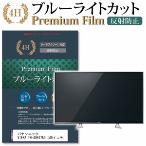 パナソニック VIERA TH-49EX750 49インチ 機種で使える ブルーライトカット 反射防止 液晶TV 保護フィルム メール便送料無料