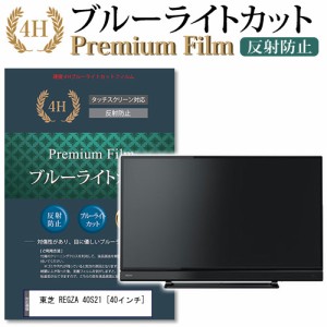 東芝 REGZA 40S21 40インチ 機種で使える ブルーライトカット 反射防止 液晶TV 保護フィルム メール便送料無料