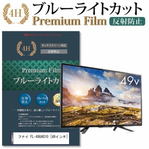 フナイ FL-49U4010 49インチ 機種で使える  ブルーライトカット 反射防止 液晶TV 保護フィルム メール便送料無料