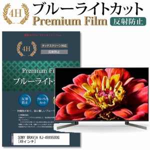 SONY BRAVIA KJ-49X9500G [49インチ] で使える ブルーライトカット 反射防止 液晶TV 保護フィルム