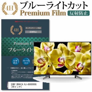 SONY BRAVIA KJ-49X8000G [49インチ] で使える ブルーライトカット 反射防止 液晶TV 保護フィルム