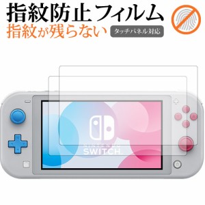 Nintendo Switch Lite ザシアン・ザマゼンタ 2枚組 専用 クリア光沢 液晶保護フィルム メール便送料無料