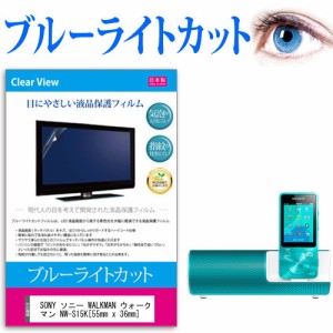 SONY ソニー WALKMAN ウォークマン NW-S15K 55mm x 36mm ブルーライトカット 反射防止 液晶保護フィルム 指紋防止 気泡レス加工 液晶フィ