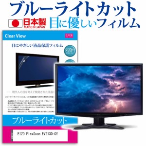 EIZO FlexScan EV2130-GY [21.5インチ] ブルーライトカット 液晶保護フィルム 指紋防止 メール便送料無料