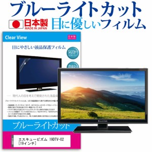 エスキュービズム 19DTV-02 19インチ 機種で使える ブルーライトカット 反射防止 液晶保護フィルム 指紋防止 気泡レス加工 画面保護 メー