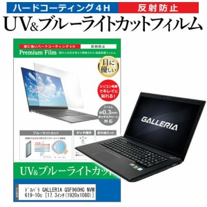 ドスパラ GALLERIA QSF960HG NVMe K/05619-10c [17.3インチ] 機種で使える ブルーライトカット 反射防止 指紋防止 液晶保護フィルム メー