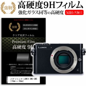 パナソニック LUMIX DMC-GM5 74mm x 39mm 強化ガラス と 同等の 高硬度9H 液晶保護フィルム デジカメ デジタルカメラ 一眼レフ メール便