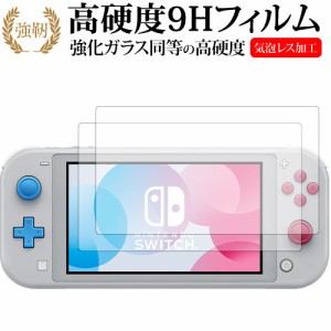 Nintendo Switch Lite ザシアン・ザマゼンタ 2枚組 専用 強化ガラス同等 高硬度9H 液晶保護フィルム メール便送料無料