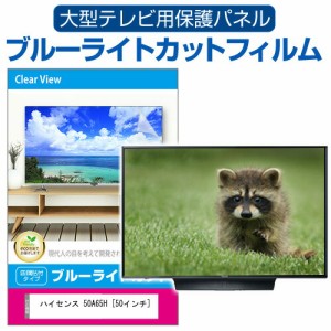 ハイセンス 50A65H [50インチ] 液晶テレビ保護パネル 50型 ブルーライトカット メール便送料無料