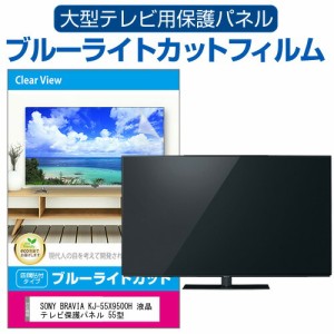 SONY BRAVIA KJ-55X9500H 液晶テレビ保護パネル 55型 ブルーライトカット テレビ保護パネル 55インチ 保護 フィルム 画面 モニター 破損 