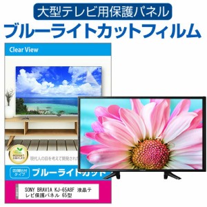 SONY BRAVIA KJ-65A8F 液晶テレビ保護パネル 65型 ブルーライトカット テレビ保護パネル 65インチ 保護 フィルム 画面 モニター 破損 防