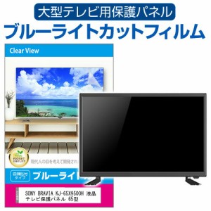 SONY BRAVIA KJ-65X9500H 液晶テレビ保護パネル 65型 ブルーライトカット テレビ保護パネル 65インチ 保護 フィルム 画面 モニター 破損 