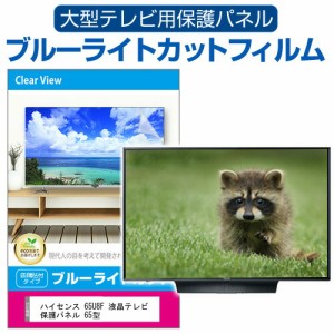 ハイセンス 65U8F 液晶テレビ保護パネル 65型 ブルーライトカット テレビ保護パネル 65インチ 保護 フィルム 画面 モニター 破損 防止 