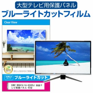 SONY BRAVIA KJ-65X85J 液晶テレビ保護パネル 65型 ブルーライトカット テレビ保護パネル 65インチ 保護 フィルム 画面 モニター 破損 防