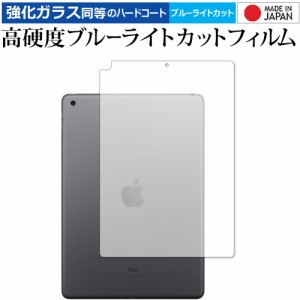Apple iPad 9th 背面(wifi) 保護フィルム 強化ガラス と 同等の 高硬度9H ブルーライトカット クリア光沢 メール便送料無料