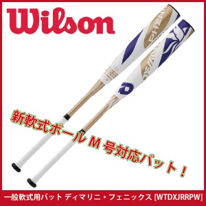 【ウィルソン/willson】一般用 軟式 バット　コンポジット(複合)製 M号対応 [WTDXJRRPW] 野球