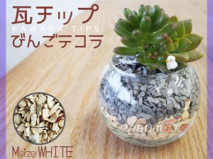 瓦チップ びんご テコラ Mサイズ 白 600g 観葉植物 プランター カバー材 かわいい リサイクル