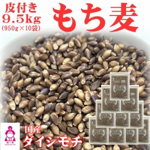 皮付き もち麦 ダイシモチ (950g×10袋) チャック付 岡山県産 送料無料 北海道・沖縄宛は送料770円の加算が必要です