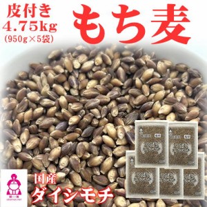 皮付き もち麦 ダイシモチ (950g×5袋) チャック付 岡山県産 送料無料 北海道・沖縄宛は送料770円の加算が必要です