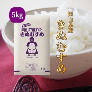 新米 令和6年産 お米 5kg きぬむすめ 岡山県産 (5kg×1袋) 米 送料無料 5キロ お米 北海道・沖縄宛は送料770円の加算が必要です 特Ａ 産