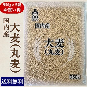 国内産 大麦(丸麦) (950g×5袋)お買い得パック 送料無料 北海道・沖縄宛は送料770円の加算が必要です