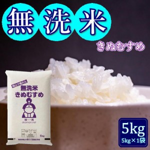 無洗米 5年産 お米 きぬむすめ 5kg (5kg×1袋) 令和5年産 岡山県産 米 送料無料 北海道・沖縄宛は送料770円の加算が必要です