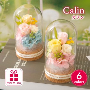 プリザーブドフラワー 誕生日 プレゼント 『calinカラン』 ガラスドーム 結婚祝い 結婚記念日 開店祝い 開業祝い 退職祝い 卒業祝い 母の