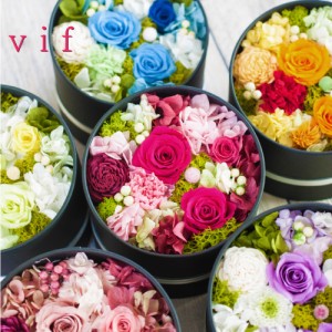 プリザーブドフラワー ボックス ギフト 『vif ヴィフ』 花 薔薇 バラ アレンジメント 誕生日 結婚祝い 開店祝い 結婚記念日 ブリザードフ