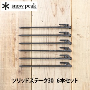 snow peak スノーピーク ソリッドステーク30 6本セット ペグ テント アウトドア R-103-1