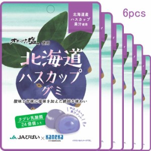 6袋セット販売 グミ 乳酸菌入り 北海道 ハスカップ グミ カネカ食品 オホーツクの塩使用 美味しい スッキリ 酸味 甘味 塩味 果汁ジュレ 