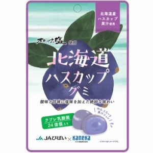 グミ 乳酸菌入り 北海道 ハスカップ グミ カネカ食品 オホーツクの塩使用 美味しい スッキリ 酸味 甘味 塩味 果汁ジュレ ラブレ乳酸菌 北