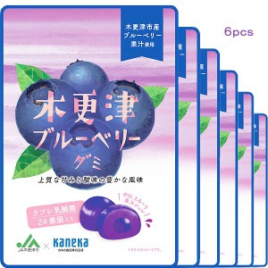 6袋セット販売 グミ 乳酸菌入り 木更津ブルーベリーグミ カネカ食品 美味しい スッキリ 上質な甘み 酸味豊か 果汁ジュレ ラブレ乳酸菌 木