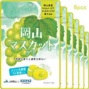 6袋セット販売 グミ 乳酸菌入り 岡山マスカットグミ カネカ食品 美味しい スッキリ 芳醇な香り 濃厚な味わい さわやかな味わい 果汁ジュ