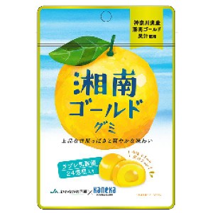 グミ 乳酸菌入り 湘南ゴールドグミ カネカ食品 美味しい スッキリ 甘酸っぱさ さわやかな味わい 果汁ジュレ ラブレ乳酸菌 神奈川県産 湘