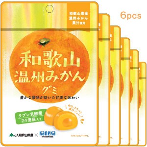 6袋セット販売 グミ 乳酸菌入り 和歌山温州みかんグミ カネカ食品 美味しい スッキリ 甘酸が効いた甘味 さわやかな味わい 果汁ジュレ ラ