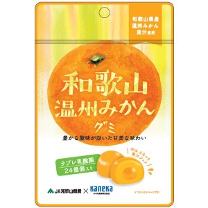 グミ 乳酸菌入り 和歌山温州みかんグミ カネカ食品 美味しい スッキリ 甘酸が効いた甘味 さわやかな味わい 果汁ジュレ ラブレ乳酸菌 和歌