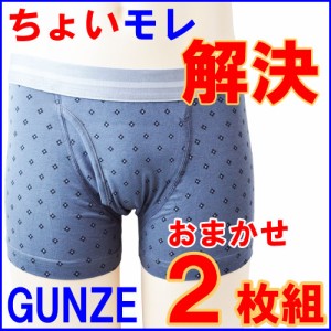 ボクサーパンツ メンズ GUNZE ちょいモレ対策ボクサーブリーフ おまかせ２枚組 送料無料 ちょい漏れパンツ 失禁パンツ 男性用 男性 失禁