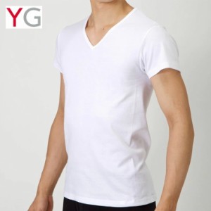 メンズ インナー グンゼ YG v首半袖Ｔシャツ YV0015N vネック単品 gunze yg 下着 肌着 紳士 アンダーシャツ  (05163)