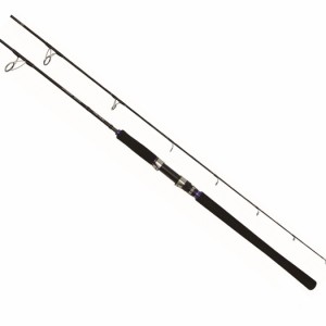 プロトラストPROTRUST　BAY BREEZE ベイブリーズ　190cm　BBR-S63M　066571　ライトジギングロッド　スピニングリールモデル【送料無料 (