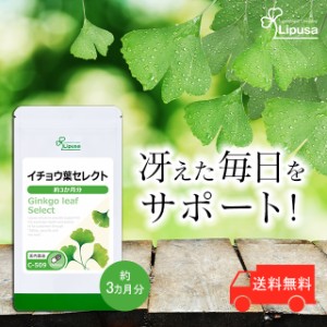 イチョウ葉セレクト 約3か月分 C-509 健康 うっかり サプリ リプサ Lipusa 公式 送料無料