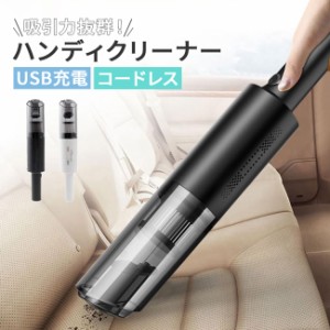 掃除機 サイクロン コードレス ハンディ ハンディ クリーナーの通販 ...