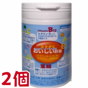 カラダにおいしい肝油 プラス 2個 富山めぐみ製薬