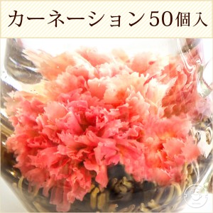 花 咲くジャスミン茶 カーネーション 萬紫千紅 業務用 50個入(個別包装１個×50P) 工芸茶 お茶 ブルーミングティー 送料無料