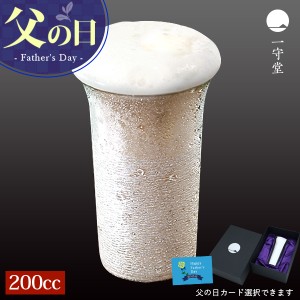 父の日 早割 ギフト プレゼント 銀製タンブラーLサイズ ビール グラス 実用的 酒器 アイス 結婚 出産 内祝い 誕生日 還暦祝い 退職 定年 