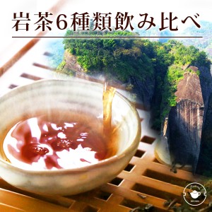 【岩茶飲み比べ6種】ギフト 烏龍茶 高級 武夷岩茶 がんちゃ 6種類セット お試し 大紅袍 白鶏冠 鉄羅漢 水金亀 水仙 肉桂 個包装 使い切り