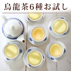 【烏龍茶お試し6種】 中国茶 台湾茶 ウーロン茶 6種類 飲み比べセット お茶 永春 白芽奇蘭 黄金桂 東方美人 凍頂 金萱 茶葉 個包装 ギフ