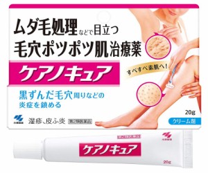 【第2類医薬品】小林製薬 ケアノキュア 20g【ネコポス発送/8個まで可】背中のブツブツ治療薬