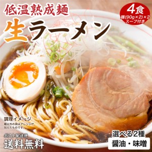 送料無料 2種から選べる なまラーメン 生ラーメン 4食 得トクセール ポイント消化 食品 お試し 訳あり 特産品 ご希望の発送日をお選びく