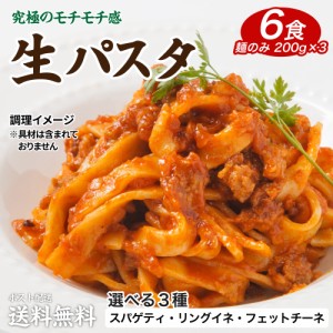 ポイント消化 送料無料 選べる 生パスタ 6食 セット お試し セール 期間限定 食品 福袋 通販 ご希望の発送日をお選びください