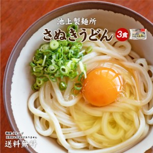 送料無料 讃岐の名店 池上製麺所特製 釜玉うどん 3食 [ﾒｰﾙ便] つゆ付き ポイント消化 お試し 食品 暑さ対策_c 